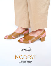 MODEST-Brown